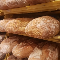 brood krat1.jpg